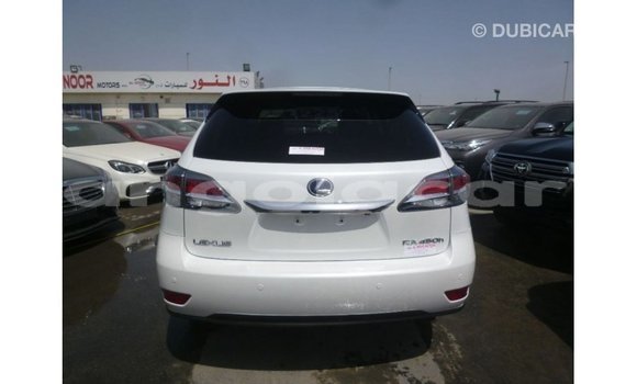 Comprar Importar Lexus RX Branco Carro em Import - Dubai em Bengo Province Comprar Importar Lexus RX Branco Carro em Import - Dubai em Bengo Province