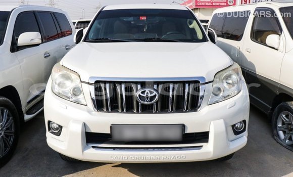 Comprar Importar Toyota Prado Branco Carro em Import - Dubai em Bengo Province Comprar Importar Toyota Prado Branco Carro em Import - Dubai em Bengo Province