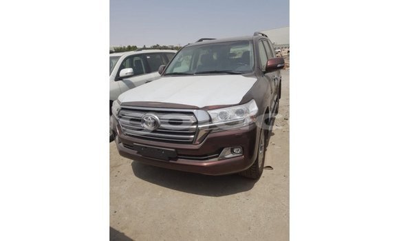 Buy Import Toyota Land Cruiser Brown Car in Import - Dubai in Bengo Province Buy Import Toyota Land Cruiser Brown Car in Import - Dubai in Bengo Province