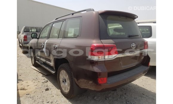 Buy Import Toyota Land Cruiser Brown Car in Import - Dubai in Bengo Province Buy Import Toyota Land Cruiser Brown Car in Import - Dubai in Bengo Province
