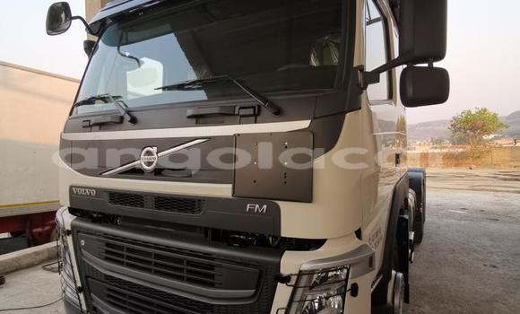 Acheter Neuf Utilitaire Volvo F4 Blanc à Lubango, Huila