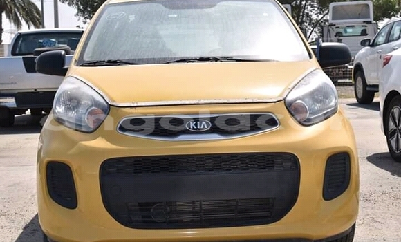 Acheter Neuf Voiture Kia Picanto Beige à Luanda, Province de Luanda Acheter Neuf Voiture Kia Picanto Beige à Luanda, Province de Luanda