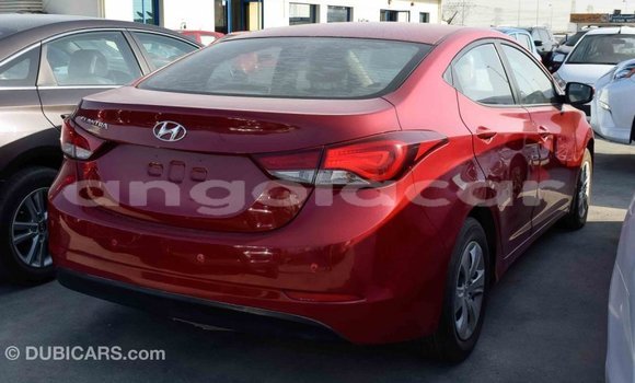 Comprar Importar Hyundai Elantra Vermelho Carro em Import - Dubai em Bengo Province Comprar Importar Hyundai Elantra Vermelho Carro em Import - Dubai em Bengo Province