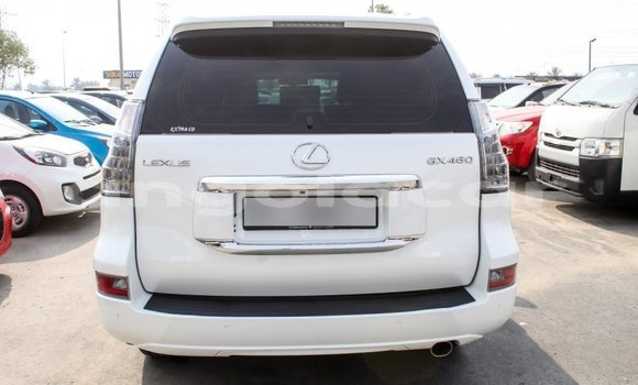 Comprar Importar Lexus GX Branco Carro em Import - Dubai em Bengo Province Comprar Importar Lexus GX Branco Carro em Import - Dubai em Bengo Province