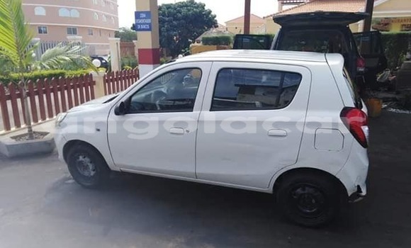 Buy Import Suzuki Alto White Car in Luanda in Luanda Province Buy Import Suzuki Alto White Car in Luanda in Luanda Province