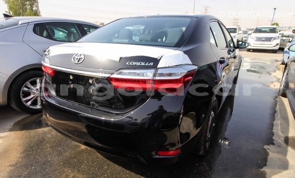Buy Import Toyota Corolla Black Car in Import - Dubai in Bengo Province Buy Import Toyota Corolla Black Car in Import - Dubai in Bengo Province