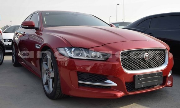 Acheter Import Voiture Jaguar XE Rouge à Import - Dubai, Province de Bengo