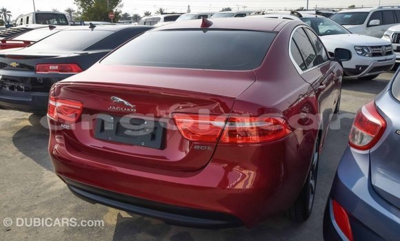 Buy Import Jaguar XE Red Car in Import - Dubai in Bengo Province Buy Import Jaguar XE Red Car in Import - Dubai in Bengo Province