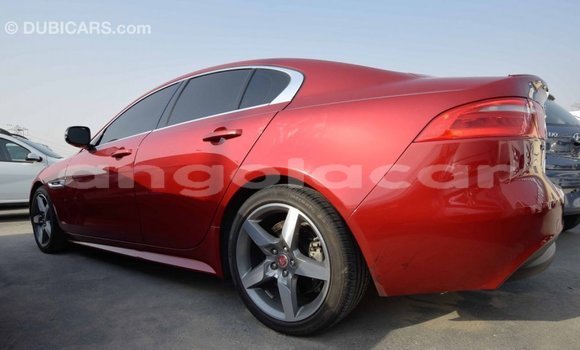 Buy Import Jaguar XE Red Car in Import - Dubai in Bengo Province Buy Import Jaguar XE Red Car in Import - Dubai in Bengo Province
