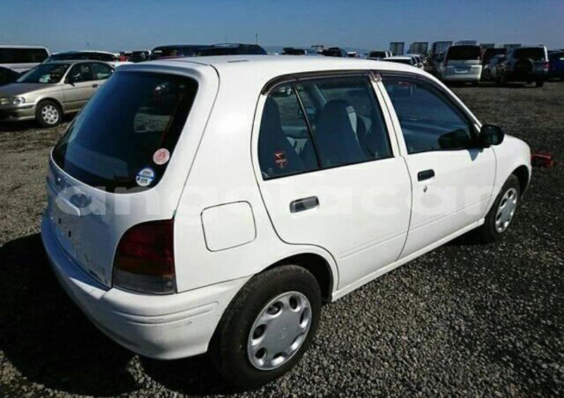 Big with watermark 46234479 177549536529138 5207178135891607552 n