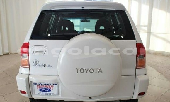 Buy New Toyota RAV4 White Car in Luanda in Luanda Province Buy New Toyota RAV4 White Car in Luanda in Luanda Province