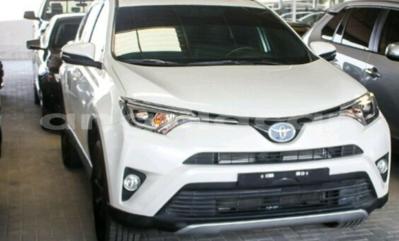 Buy New Toyota RAV4 Other Car in Luanda in Luanda Province Buy New Toyota RAV4 Other Car in Luanda in Luanda Province