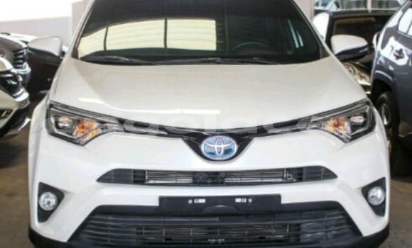 Buy New Toyota RAV4 Other Car in Luanda in Luanda Province Buy New Toyota RAV4 Other Car in Luanda in Luanda Province