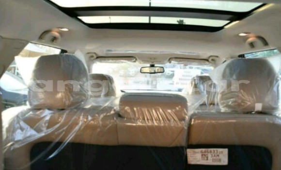 Buy New Nissan Pathfinder White Car in Luanda in Luanda Province Buy New Nissan Pathfinder White Car in Luanda in Luanda Province