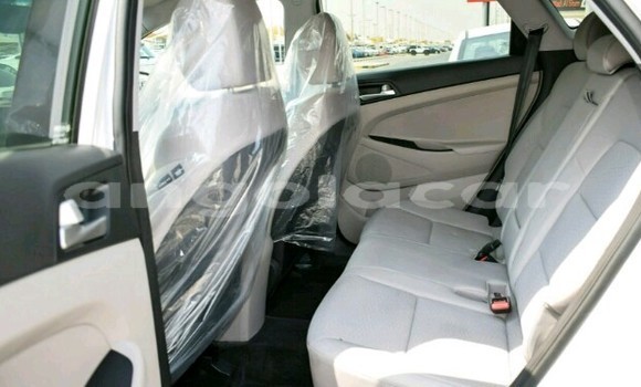 Buy New Hyundai Tucson White Car in Luanda in Luanda Province Buy New Hyundai Tucson White Car in Luanda in Luanda Province