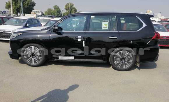 Buy New Lexus LX 570 Black Car in Luanda in Luanda Province Buy New Lexus LX 570 Black Car in Luanda in Luanda Province