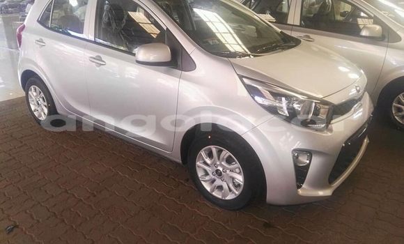 Acheter Neuf Voiture Kia Picanto Autre à Luanda, Province de Luanda Acheter Neuf Voiture Kia Picanto Autre à Luanda, Province de Luanda