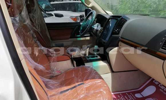 Comprar Novo Toyota Land Cruiser Branco Carro em Luanda em Luanda Province Comprar Novo Toyota Land Cruiser Branco Carro em Luanda em Luanda Province