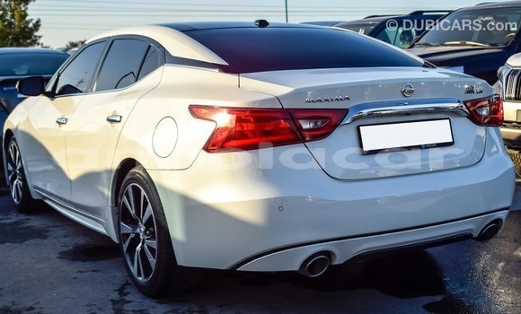 Comprar Importar Nissan Maxima Branco Carro em Import - Dubai em Bengo Province Comprar Importar Nissan Maxima Branco Carro em Import - Dubai em Bengo Province