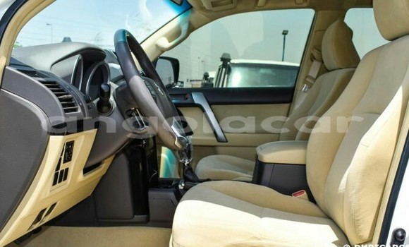 Buy New Toyota Prado White Car in Luanda in Luanda Province Buy New Toyota Prado White Car in Luanda in Luanda Province