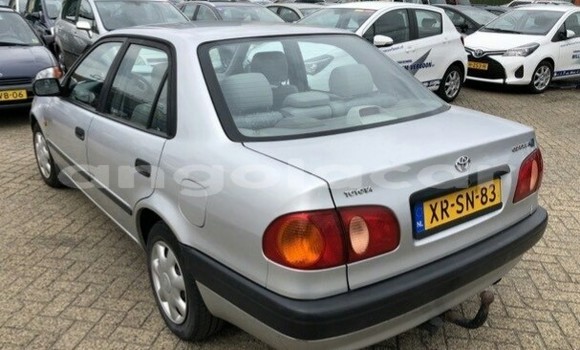 Buy New Toyota Corolla Other Car in Luanda in Luanda Province Buy New Toyota Corolla Other Car in Luanda in Luanda Province