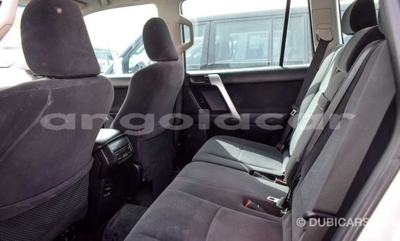 Comprar Importar Toyota Prado Outro Carro em Import - Dubai em Bengo Province Comprar Importar Toyota Prado Outro Carro em Import - Dubai em Bengo Province