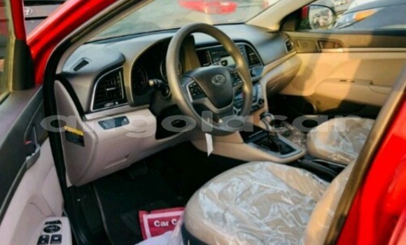Buy New Hyundai Elantra Red Car in Luanda in Luanda Province Buy New Hyundai Elantra Red Car in Luanda in Luanda Province