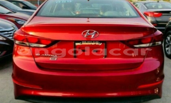Buy New Hyundai Elantra Red Car in Luanda in Luanda Province Buy New Hyundai Elantra Red Car in Luanda in Luanda Province
