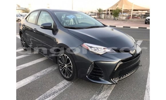 Comprar Importar Toyota Corolla Outro Carro em Import - Dubai em Bengo Province Comprar Importar Toyota Corolla Outro Carro em Import - Dubai em Bengo Province