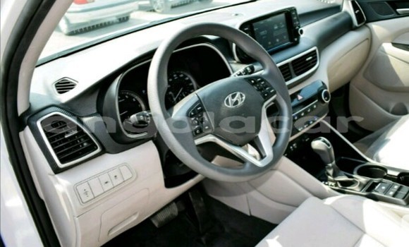 Buy New Hyundai Tucson White Car in Luanda in Luanda Province Buy New Hyundai Tucson White Car in Luanda in Luanda Province