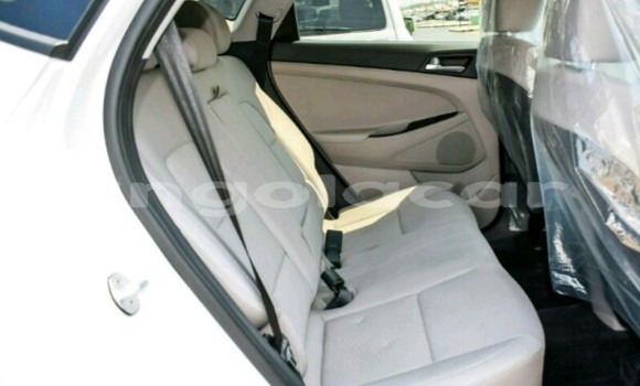 Buy New Hyundai Tucson White Car in Luanda in Luanda Province Buy New Hyundai Tucson White Car in Luanda in Luanda Province
