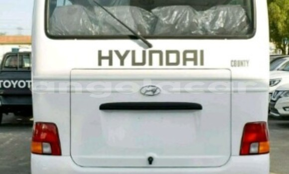 Acheter Neuf Voiture Toyota Coaster Autre à Luanda, Province de Luanda Acheter Neuf Voiture Toyota Coaster Autre à Luanda, Province de Luanda