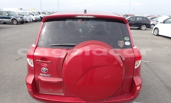 Buy New Toyota RAV4 Red Car in Luanda in Luanda Province Buy New Toyota RAV4 Red Car in Luanda in Luanda Province