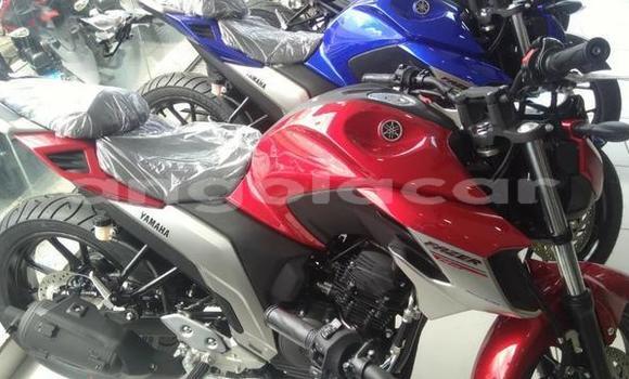 Buy New Yamaha FZ Other Bike in Luanda in Luanda Province Buy New Yamaha FZ Other Bike in Luanda in Luanda Province
