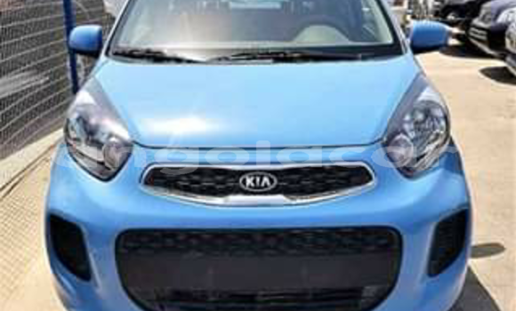 Comprar Novo Kia Picanto Azul Carro em Luanda em Luanda Province Comprar Novo Kia Picanto Azul Carro em Luanda em Luanda Province