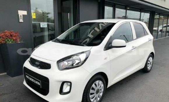 Buy New Kia Picanto Other Car in Luanda in Luanda Province Buy New Kia Picanto Other Car in Luanda in Luanda Province