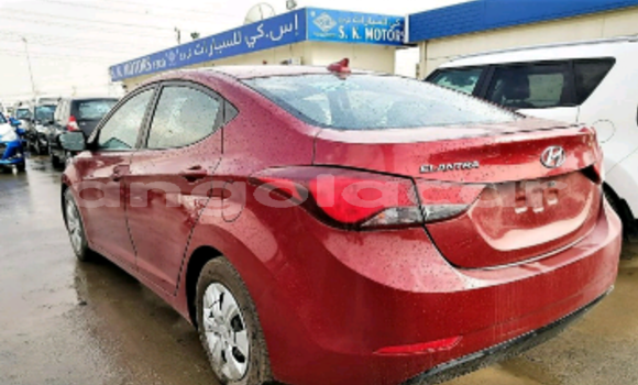 Comprar Novo Hyundai Elantra Vermelho Carro em Luanda em Luanda Province Comprar Novo Hyundai Elantra Vermelho Carro em Luanda em Luanda Province