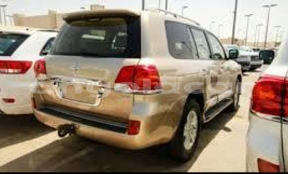 Acheter Neuf Voiture AC Ace Autre à Luanda, Province de Luanda