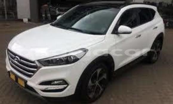 Comprar Novo Hyundai Tucson Branco Carro em Luanda em Luanda Province Comprar Novo Hyundai Tucson Branco Carro em Luanda em Luanda Province