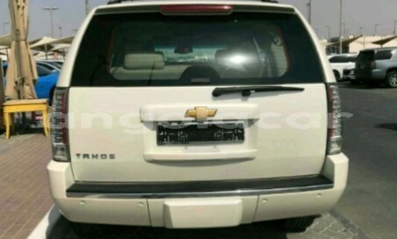 Buy New Chevrolet Tahoe White Car in Luanda in Luanda Province Buy New Chevrolet Tahoe White Car in Luanda in Luanda Province