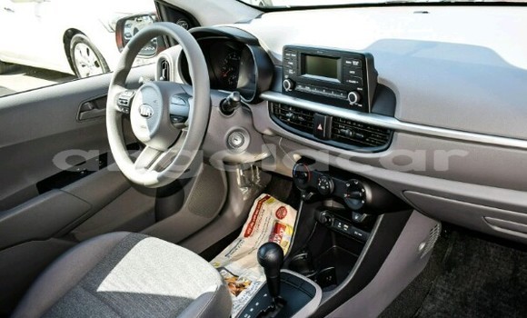 Buy New Kia Picanto Red Car in Luanda in Luanda Province Buy New Kia Picanto Red Car in Luanda in Luanda Province