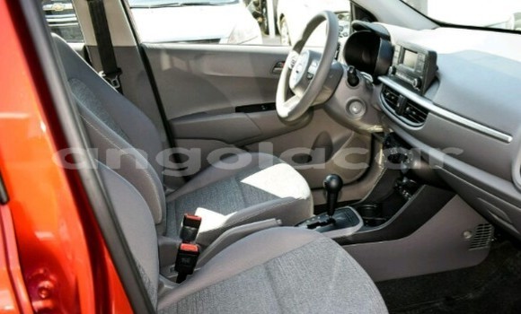 Buy New Kia Picanto Red Car in Luanda in Luanda Province Buy New Kia Picanto Red Car in Luanda in Luanda Province
