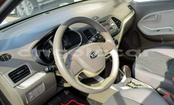 Buy New Kia Picanto Other Car in Luanda in Luanda Province Buy New Kia Picanto Other Car in Luanda in Luanda Province