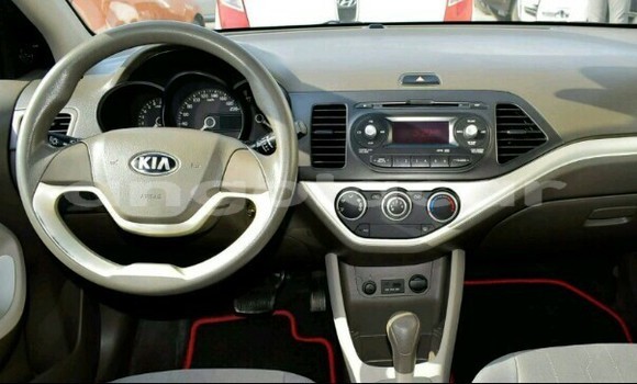 Buy New Kia Picanto Other Car in Luanda in Luanda Province Buy New Kia Picanto Other Car in Luanda in Luanda Province