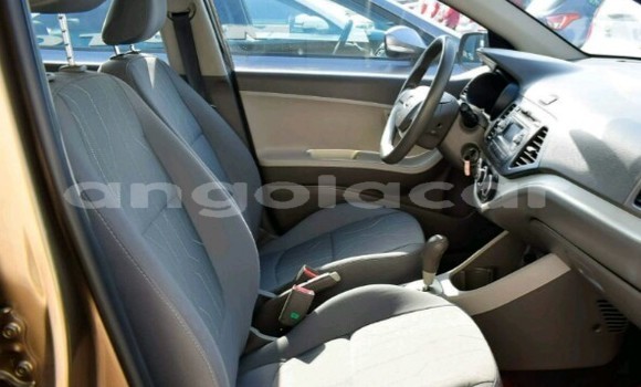 Buy New Kia Picanto Other Car in Luanda in Luanda Province Buy New Kia Picanto Other Car in Luanda in Luanda Province
