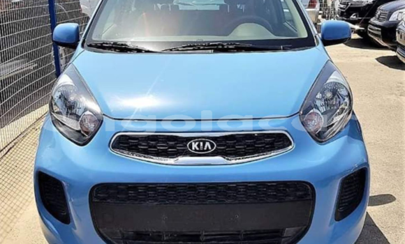 Buy New Kia Picanto Blue Car in Luanda in Luanda Province Buy New Kia Picanto Blue Car in Luanda in Luanda Province