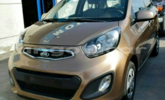 Buy New Kia Picanto Other Car in Luanda in Luanda Province Buy New Kia Picanto Other Car in Luanda in Luanda Province