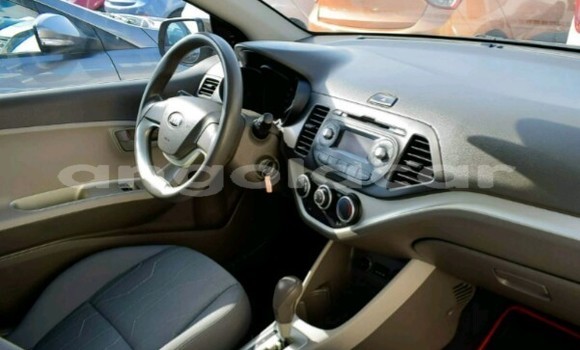 Buy New Kia Picanto Other Car in Luanda in Luanda Province Buy New Kia Picanto Other Car in Luanda in Luanda Province