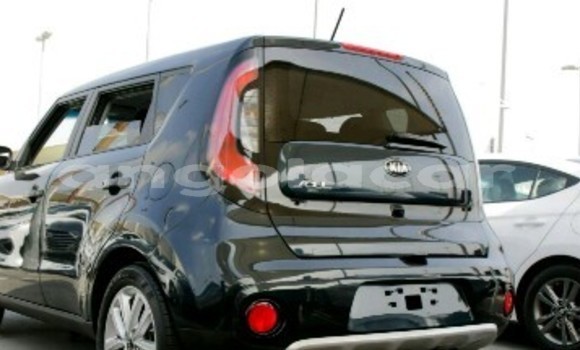 Buy New Kia Soul Black Car in Luanda in Luanda Province Buy New Kia Soul Black Car in Luanda in Luanda Province