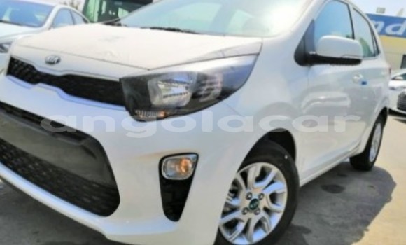 Comprar Novo Kia Picanto Branco Carro em Luanda em Luanda Province Comprar Novo Kia Picanto Branco Carro em Luanda em Luanda Province